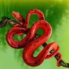 snake - secrets of the amazon