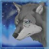 wolf - shaman