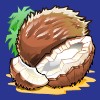 coconuts - skull duggery