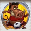 a wild boar - soccer safari