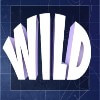 wild symbol - space wars