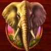 elephant - stampede
