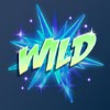 wild: wild symbol - star crystals