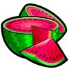 watermelon - suntide
