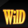 wild symbol - super fast hot hot