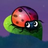 ladybug - super lucky frog