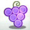 grapes - super nudge 6000