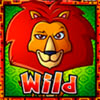 wild symbol - super safari