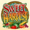 wild symbol - sweet harvest