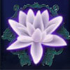 lotus flower - the forgotten land of lemuria