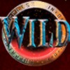 ring: wild symbol - magic shoppe
