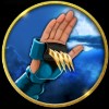 glove - the ninja