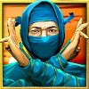 ninja in blue - the ninja